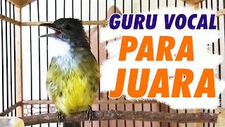 Download lagu MASTERAN CUCAK JENGGOT GACOR MBESET KASAR COCOK UNTUK MURAI BATU mp3 Download lagu MASTERAN CUCAK JENGGOT GACOR MBESET KASAR COCOK UNTUK MURAI BATU mp3