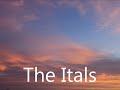 The Itals  -   Truth Must Reveal -  Live  in  Groningen ; Early 90thies!