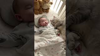 Gatinho Teve uma Surpresa Adorável da Dona 😊❤️