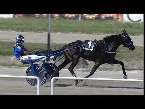 Napoli Trotto 05/09/2023 - 3ª corsa