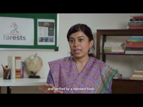 Meet Our Star Founders: Krutika from Farmers For Forests talks about their climate action solution