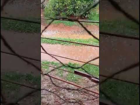chuva com tempestade e Granizo Aqui no Bairro das Capituva no município de campestre MG