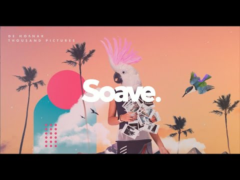 De Hofnar  - Thousand pictures