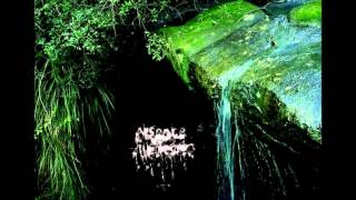 Absence Of Illumination - Beyond Bleak Landscapes