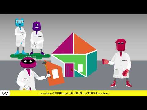 Video: CRISPR modulation applications | Episode 3 | Dharmacon Reagents