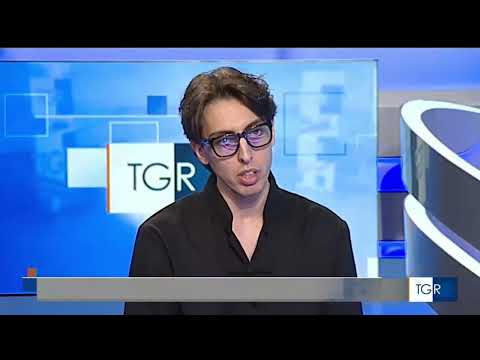 TG3 Rai Puglia 23/12/2025 - Bollywood Film Festival Award - Daniele Ippolito