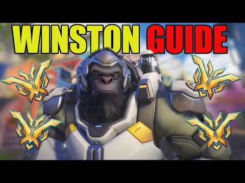 WINSTON GUIDE FOR BEGINNERS - EVERYTHING YOU NEED TO KNOW