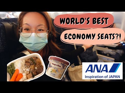 ANA All Nippon Airways 14 Hour Flight From NYC to Tokyo | Everything I ate on The Flight