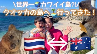 【西オーストラリア】世界一幸せな動物に会いに行ってきた！ロットネスト島VLOG2023夏