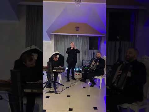 Nelu Iencea Titel Brestovicean Razvan Curtu-Ardeleana