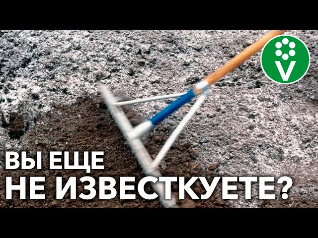ИЗВЕСТКОВАНИЕ ПОЧВЫ – СРЕДСТВО ПОВЫШЕНИЯ УРОЖАЯ В РАЗЫ!