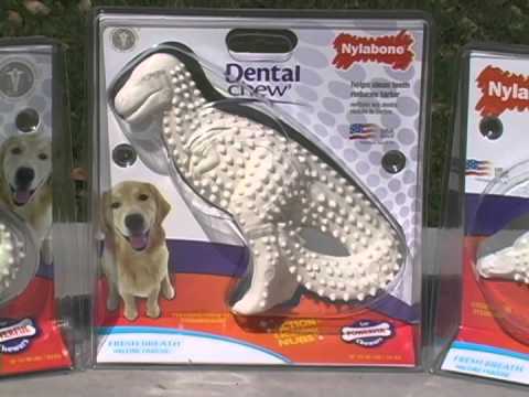 download lagu mp3 mp4 Nylabone Durable Dental Dinosaur, download lagu Nylabone Durable Dental Dinosaur gratis, unduh video klip Nylabone Durable Dental Dinosaur