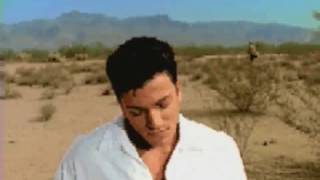PETER ANDRE - LONELY (OFFICIAL VIDEO)