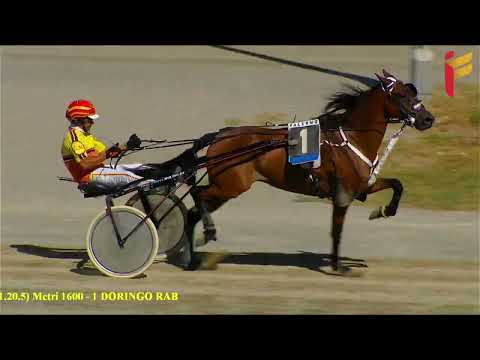 Prova di qualifica del 25 settembre 2022 - 3 Anni - Metri 1600