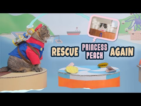 Sunshine in Cat Mario World | Super Mario Cat Rescue Princess Peach
