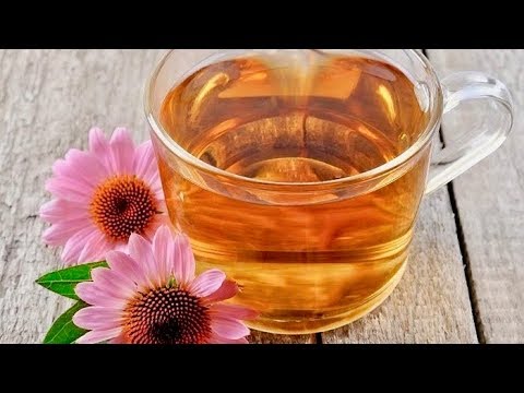 Drink Echinacea Tea For 7 Days, THIS Will Happen To Your Body!