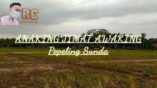 Download lagu ANAKING JIMAT AWAKING |pepeling sunda| #papatah kolot bahela sedih mp3