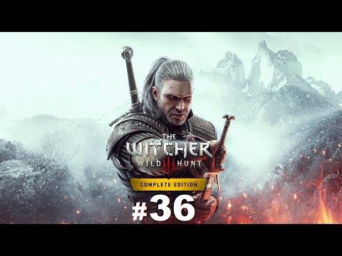 The Witcher 3: Wild Hunt || Let's Play Part 36 || Blind || PC || This guys voice is built different