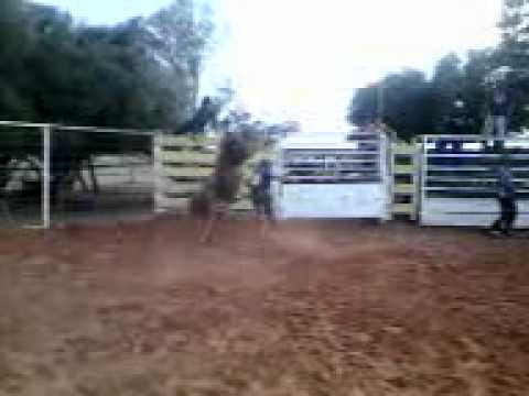 Cabeça x Rei do crime