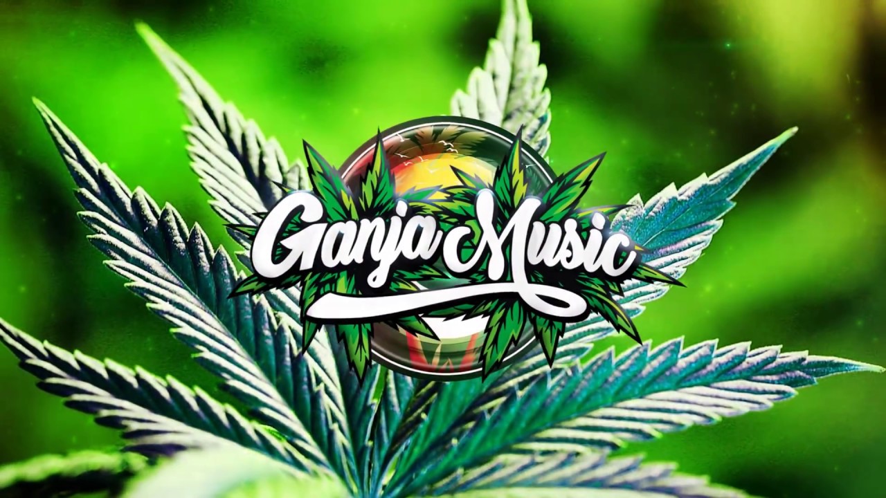 Collie Buddz - Sensimillia