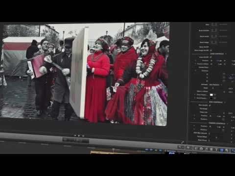 Pixel Film Studios - ProCD - Professional Media Product Disc - Final Cut Pro X