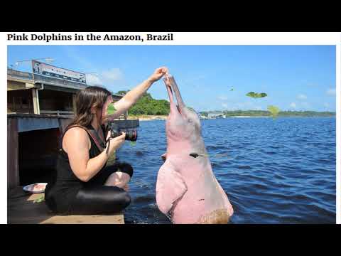 [Breaking News] Behind The Scenes Of A Wildlife Photographer