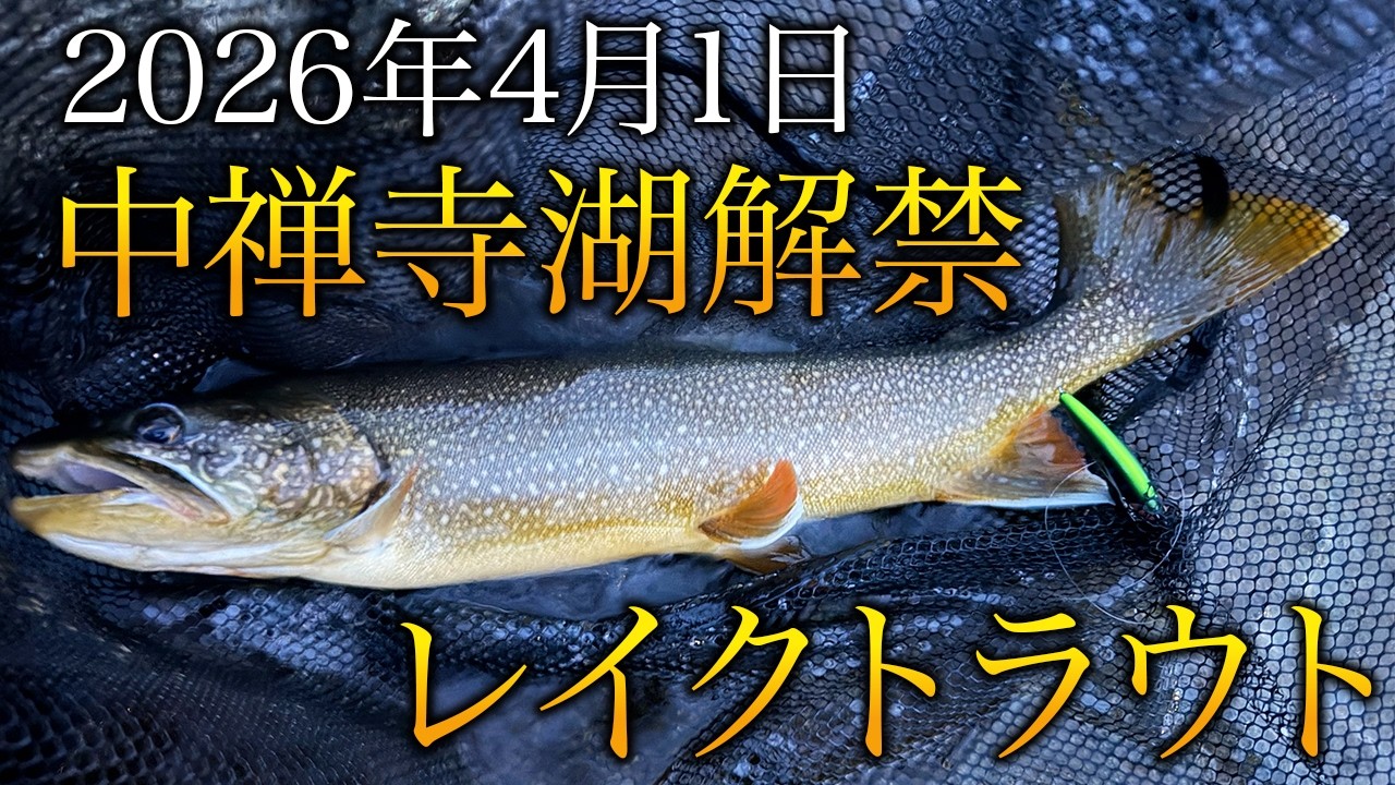 【2026年中禅寺湖解禁】2026年4月1日解禁初日速報！奇跡の開始6分でレイクトラウトを釣り上げた！