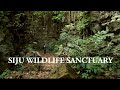 Siju Wildlife Sanctuary, South Garo Hills, Meghalaya, India.