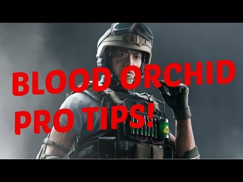 NEW BLOOD ORCHID PRO TIPS AND TRICKS!!