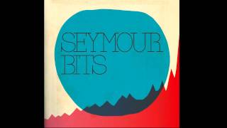 Seymour Bits - 'Deluxe' feat. Marcel Singor  #7 Seymour Bits