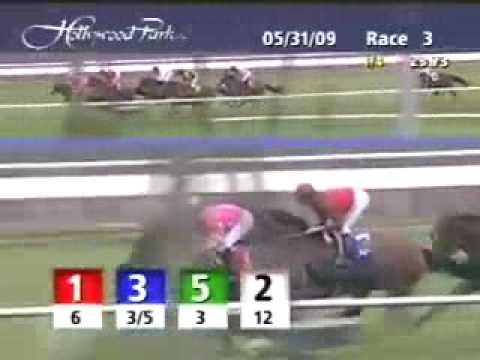 Allowance $58,000 - Hollywood Park - 2009 - Vencedora: Zardana