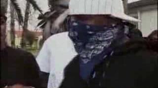Crips &amp; Bloods from compton talking about The Game