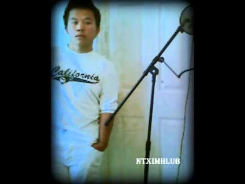 daim nplooj qhua zeeg cover by Ntximhlub