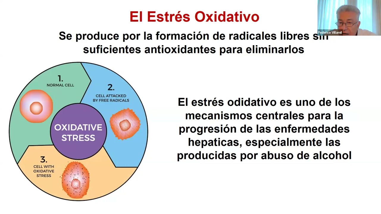 HEPATOLOGIA EN RED - CLASE 11