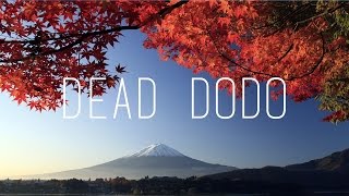 CRUISR - Go For It (Shallou. Remix)