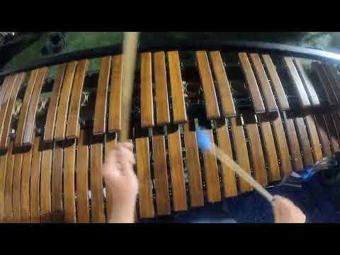 Carolina Crown 2023 Marimba Head Cam