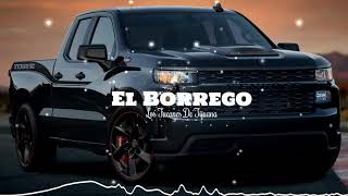 El Borrego - Los Tucanes De Tijuana (official video)