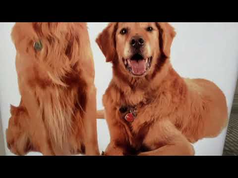 News 93.1 KFBK's Kitty O'Neal for Nature's Select