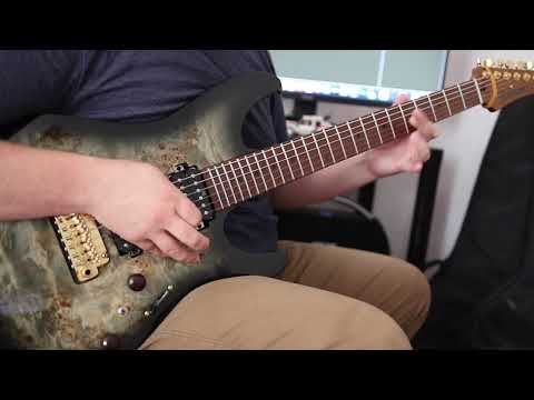 Feared - Our Dying World (solo cover)