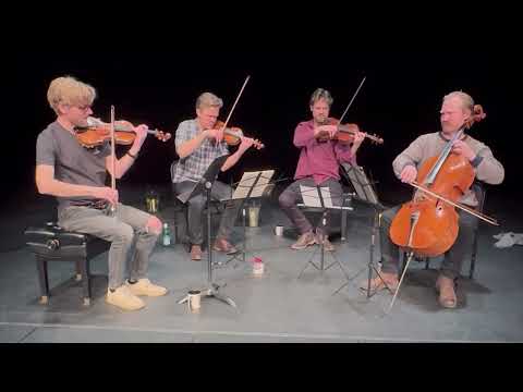 Danish String Quartet plays 'Danny Boy'