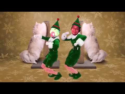 My old Elf Yourself video 🐈😺🎄