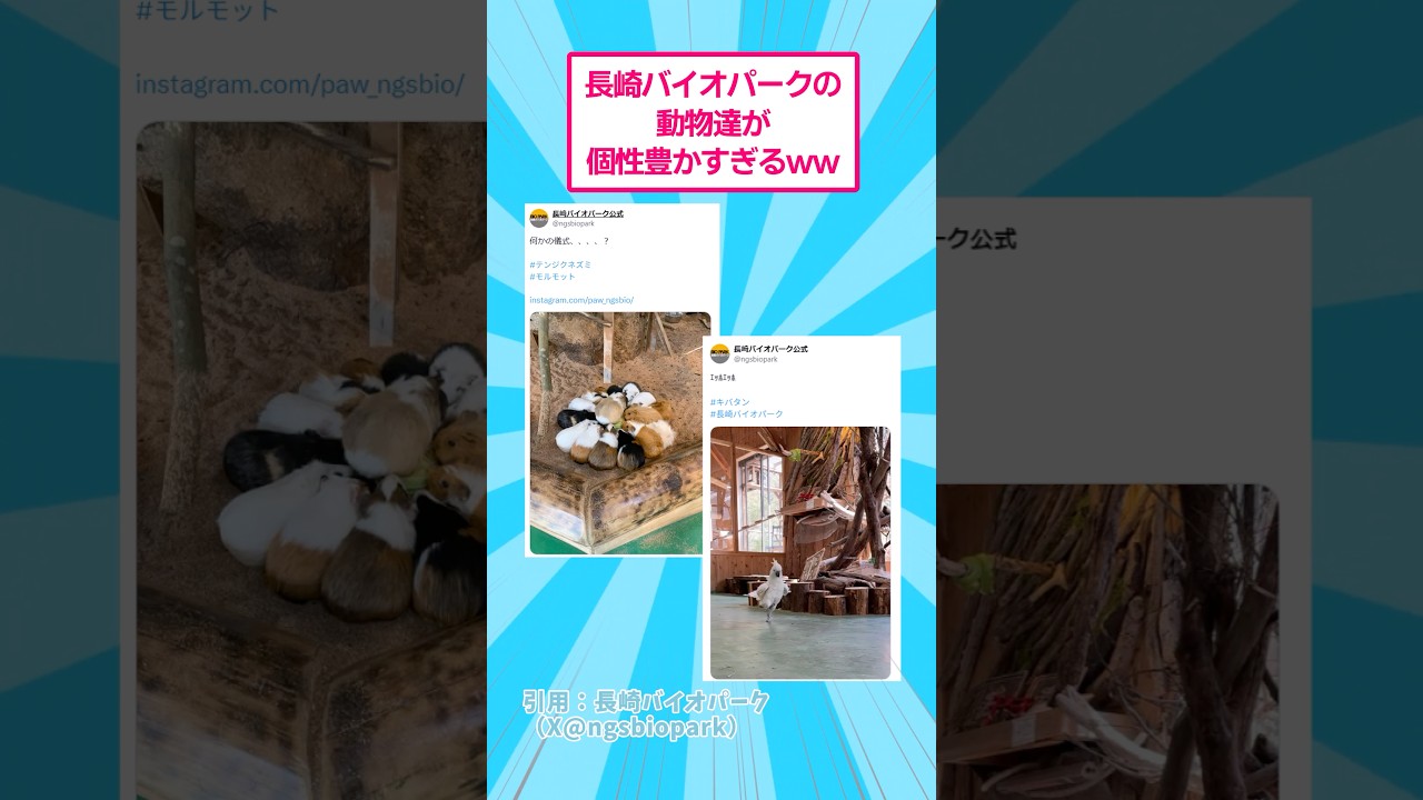 長崎バイオパークの動物達が個性豊かすぎるwww #おもしろ #動物