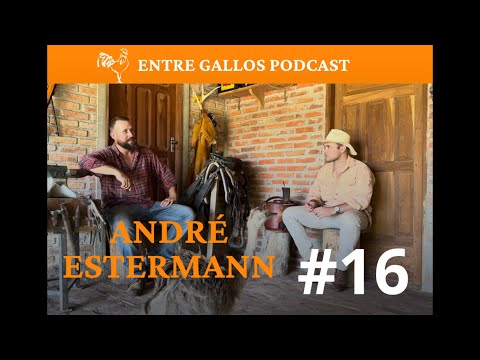 ENTRE GALLOS PODCAST # 16 - ANDRÉ ESTERMANN