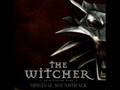 The Witcher Soundtrack - Last Battle 