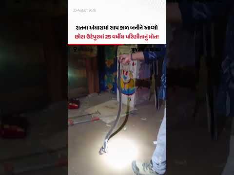 રાતના અંધારામાં સાપ કાળ બનીને આવ્યો, છોટા ઉદેપુરમાં 25 વર્ષીય પરિણીતાનું મોત! રાતના અંધારામાં સાપ કાળ બનીને આવ્યો, છોટા ઉદેપુરમાં 25 વર્ષીય પરિણીતાનું મોત!