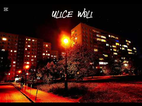 ZW Skład- Ulice Woli 