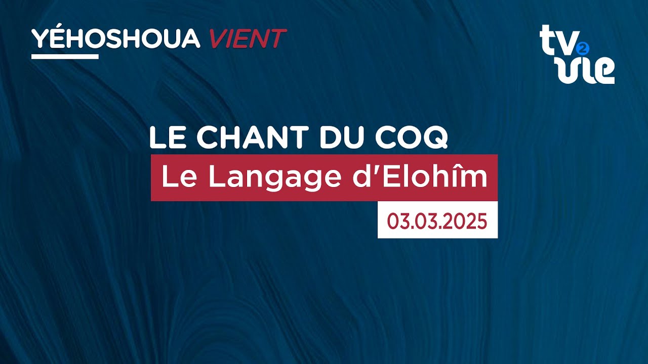 Thumbnail of video: Le Langage d'Elohîm