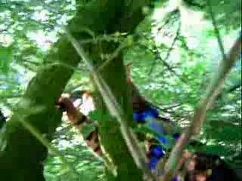 Walking Rasheed - Wandelen met Rasheed (7)