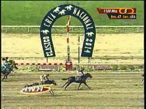 Resumen Domingo, 15 de Junio de 2014 - La Rinconada