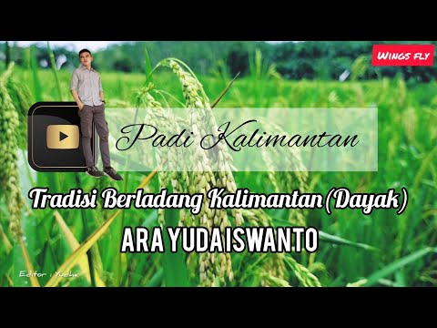 Instrumen Dayak II #Dayak Kalimantan # Ladang Kalimantan #Ispirasi Padi.